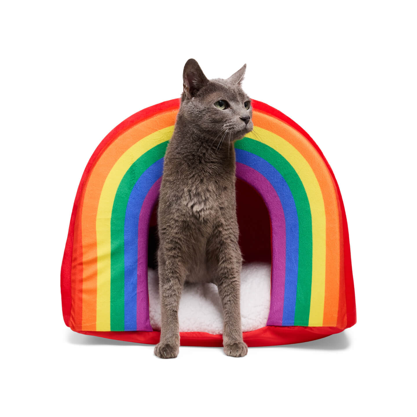 Petco Pride Shop for Pets