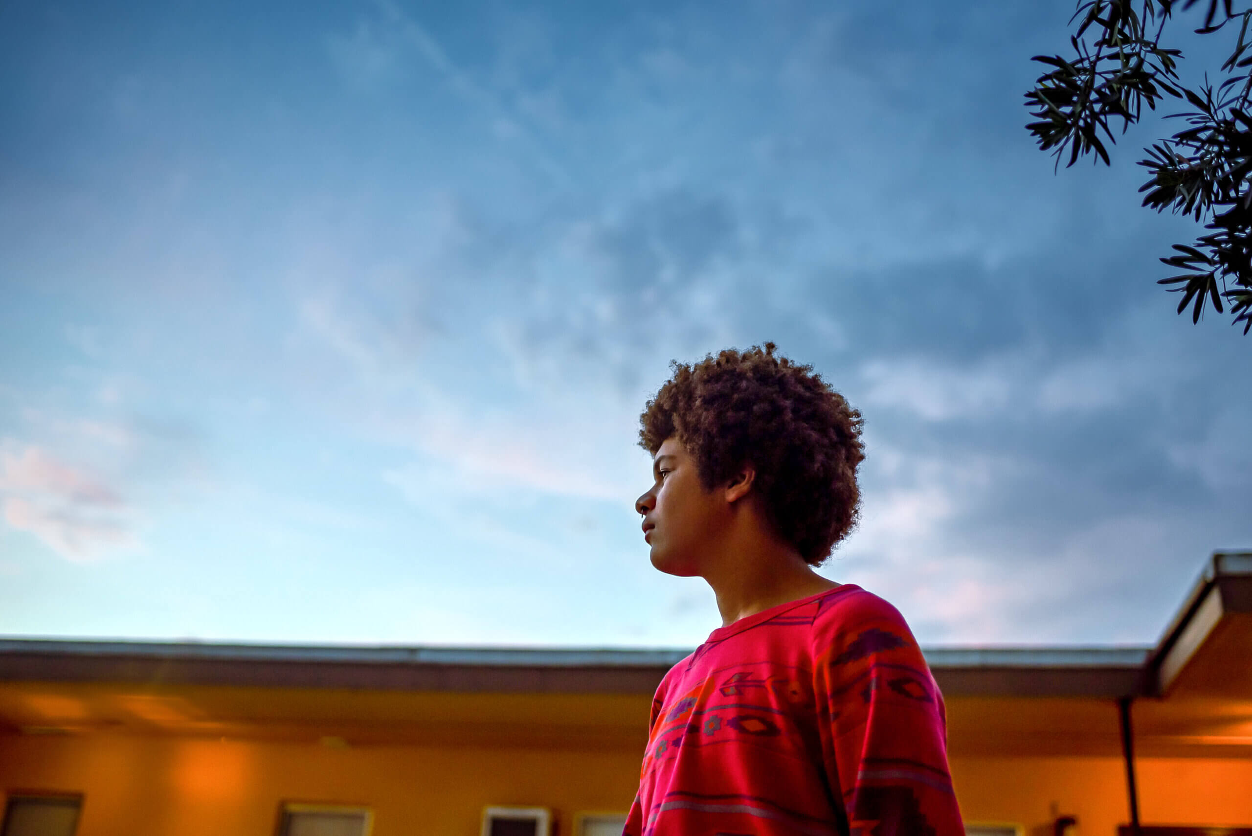 An LGBTQ+ young person with curly hair looks off into the distance at twilight.